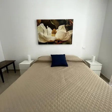 Soraya House Next Quattrocanti