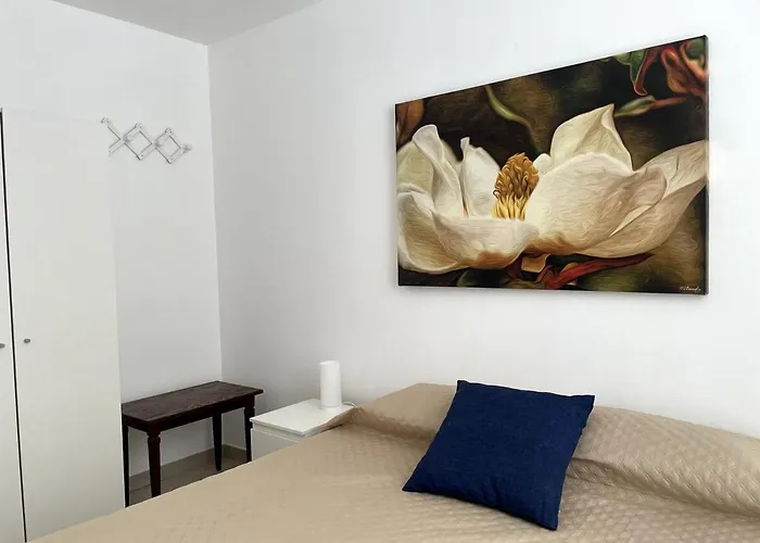 Soraya House Next Quattrocanti 公寓 巴勒莫